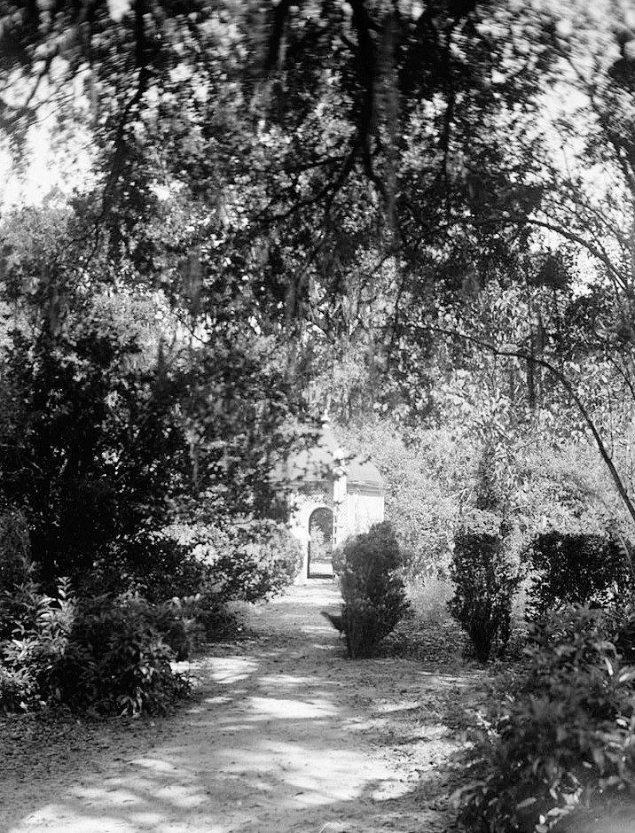 Rosedown Plantation, St Francisville Louisiana 1934 PATH TO SUMMER HOUSE LOOKING NORTHWEST (No. 1)