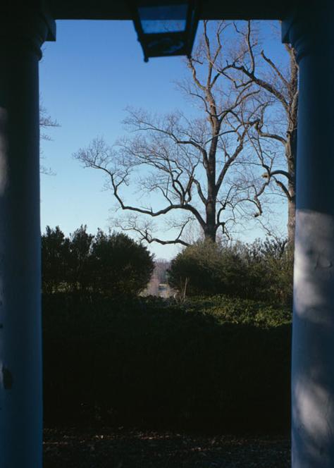 Poplar Forest - Thomas Jefferson Retreat, Forest Virginia VIEW FROM THE NORTH FRONT PORCH TO NORTH (1986)