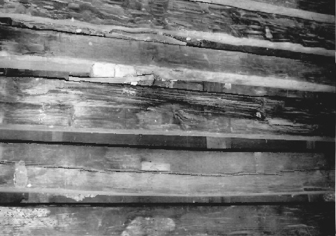 Cherokee Plantation, Fort Payne Alabama 1981 View of the logs, chinking removed, as seen from the attic