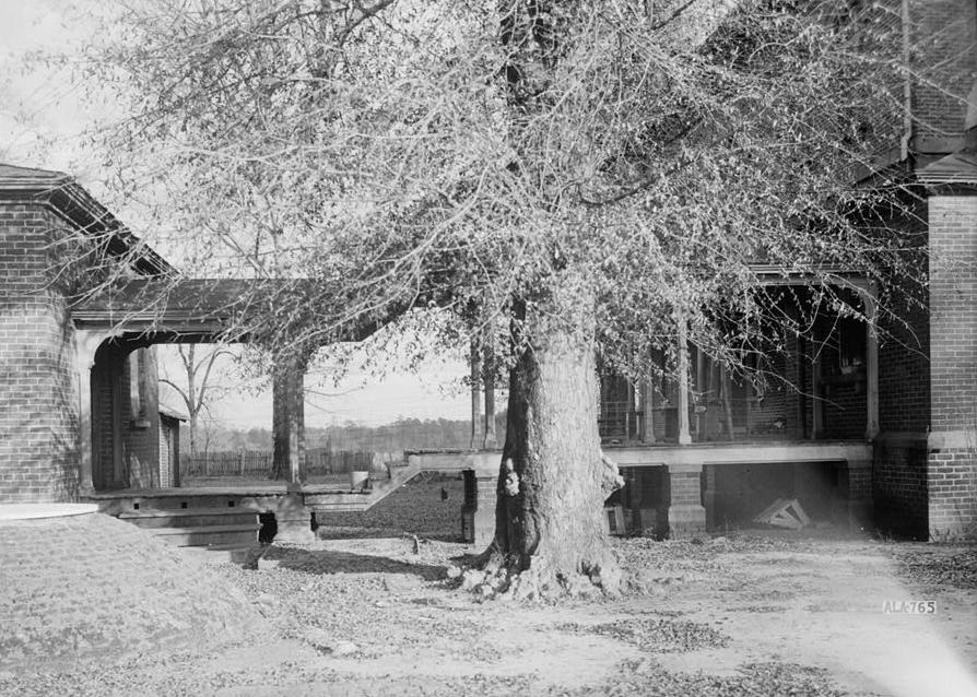 Kenworthy Hall - Carlisle-Martin House, Marion Alabama January 9, 1937 LOOKING SOUTH EAST AT WALKWAY FROM HOME TO OLD KITCHEN
