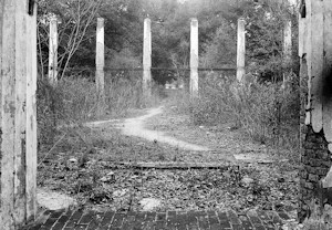 Ruins of Augusta Evans Wilson House, Mobile Alabama