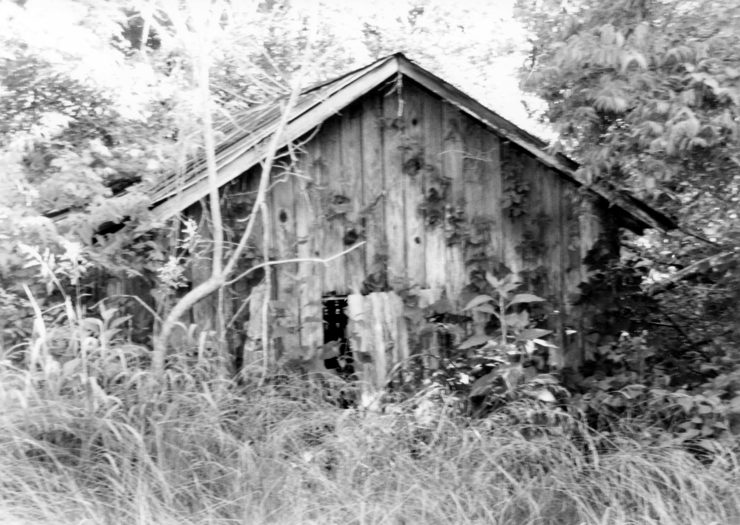 Allen Grove Plantation, Old Spring Hill Alabama Carriage house, camera facing south (1993)