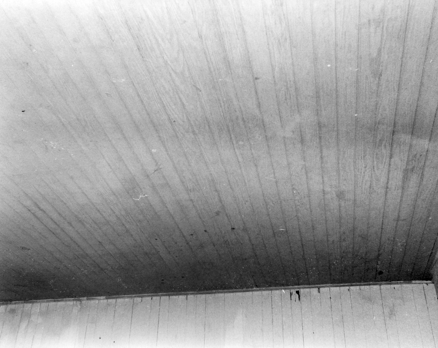 Southern Railway Depot, Piedmont Alabama Southwest Waiting Room Wall & Ceiling (1983)