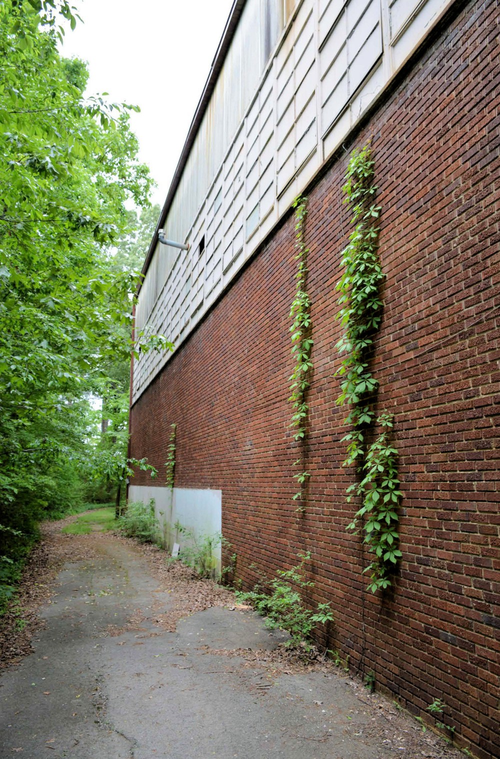 Greenwood School, Hot Springs Arkansas Side (east) facade of the Gymnasium/Auditorium addition (2016)