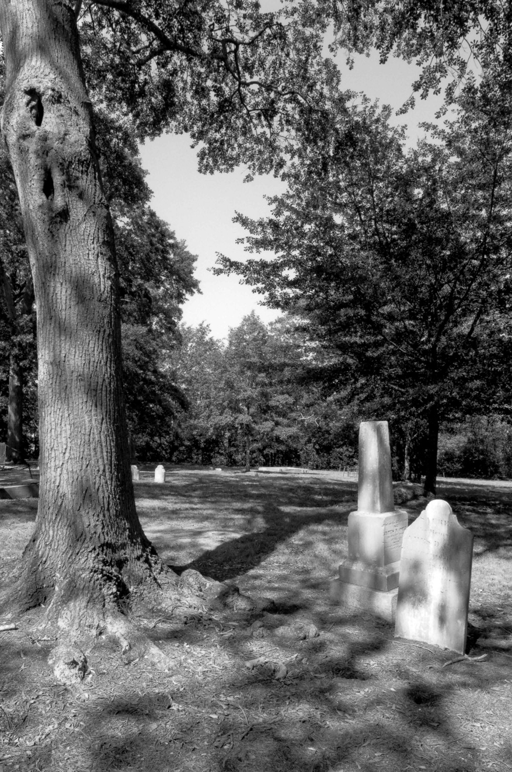 Jackson Street Cemetery, Athens Georgia Cole plot looking northeast (2008)