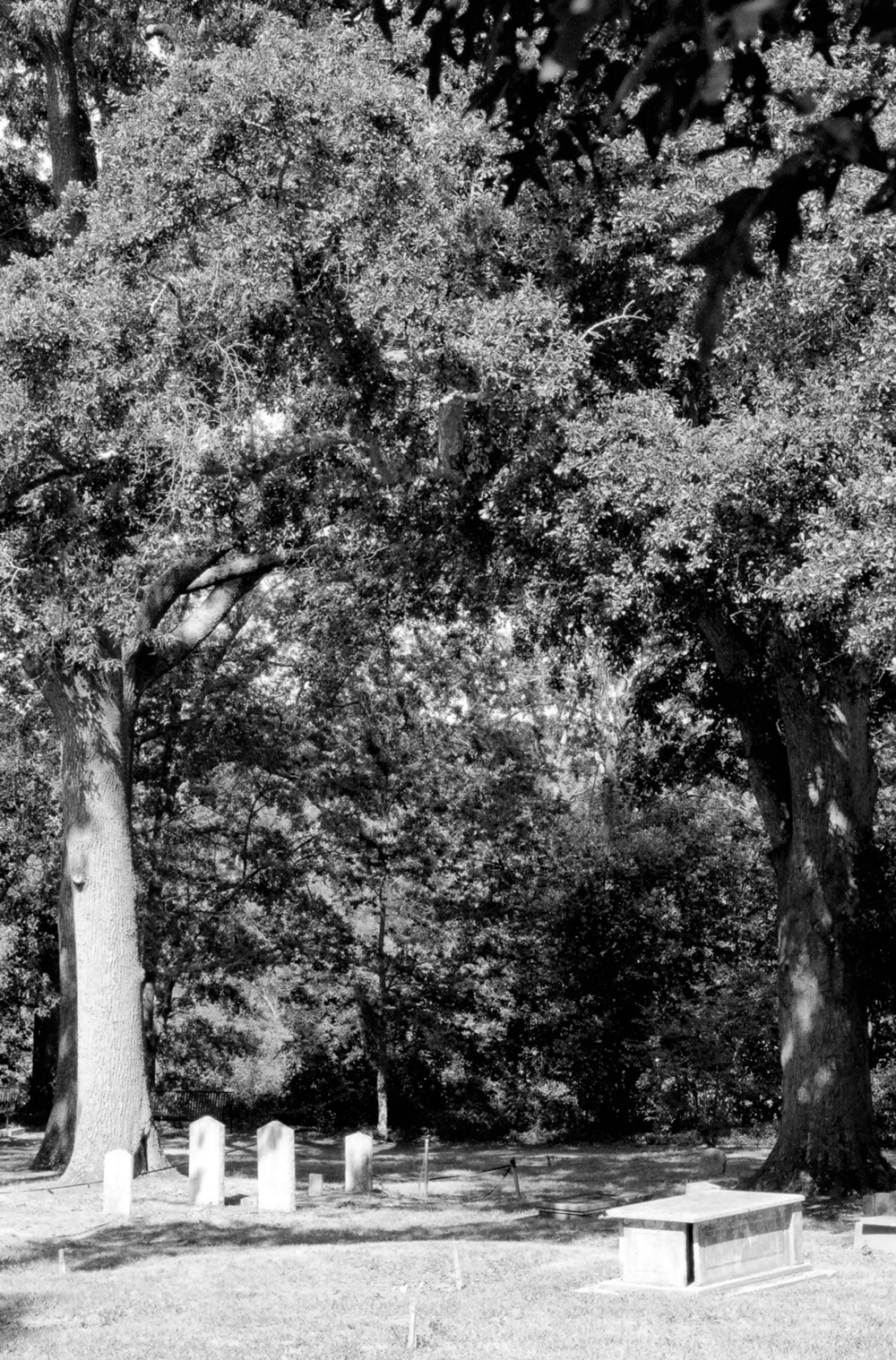Jackson Street Cemetery, Athens Georgia View of Conger plot looking east (2008)
