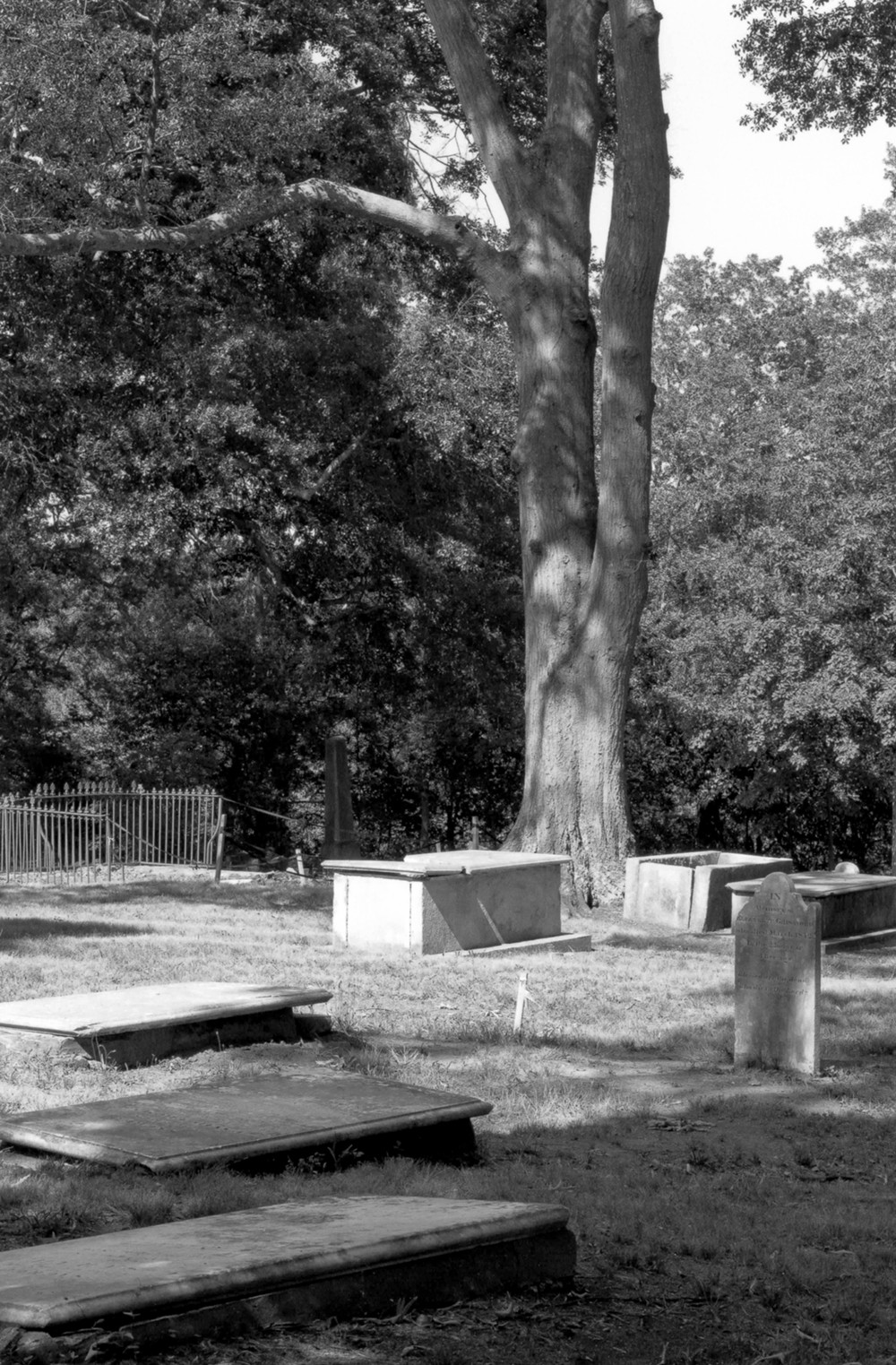 Jackson Street Cemetery, Athens Georgia View of box tombs looking northeast (2008)
