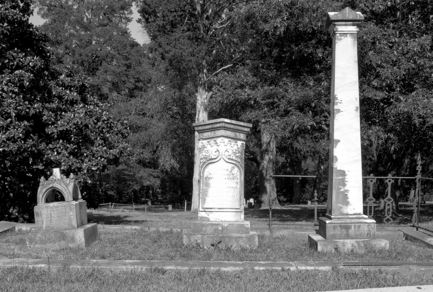 View of Lampkin plot looking east (2008)