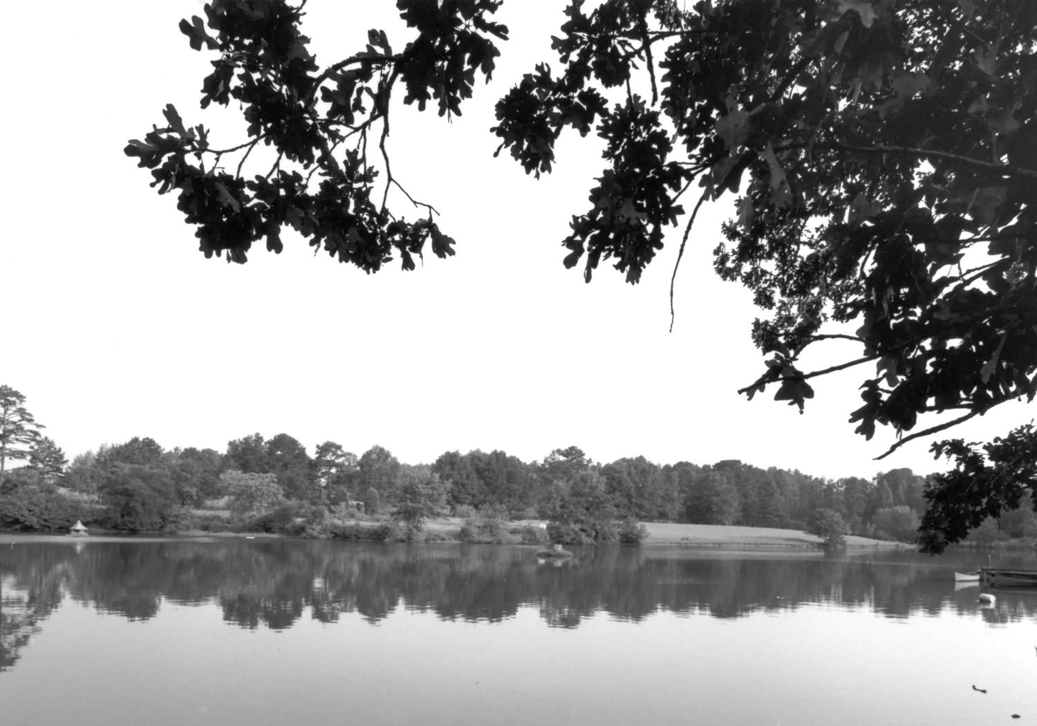 Thornton Plantation, Pine Mountain Georgia Swint-Hopkins House, lake or pond looking west. (2002)