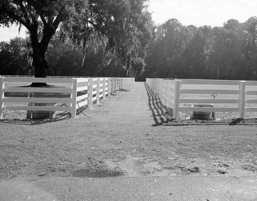 Henry Ford Plantation, Richmond Hill Georgia 2000 VIEW OF HISTORIC DISTRICT LOOKING SOUTHEAST AT PADDOCK FENCE LARGE OAK ON LEFT