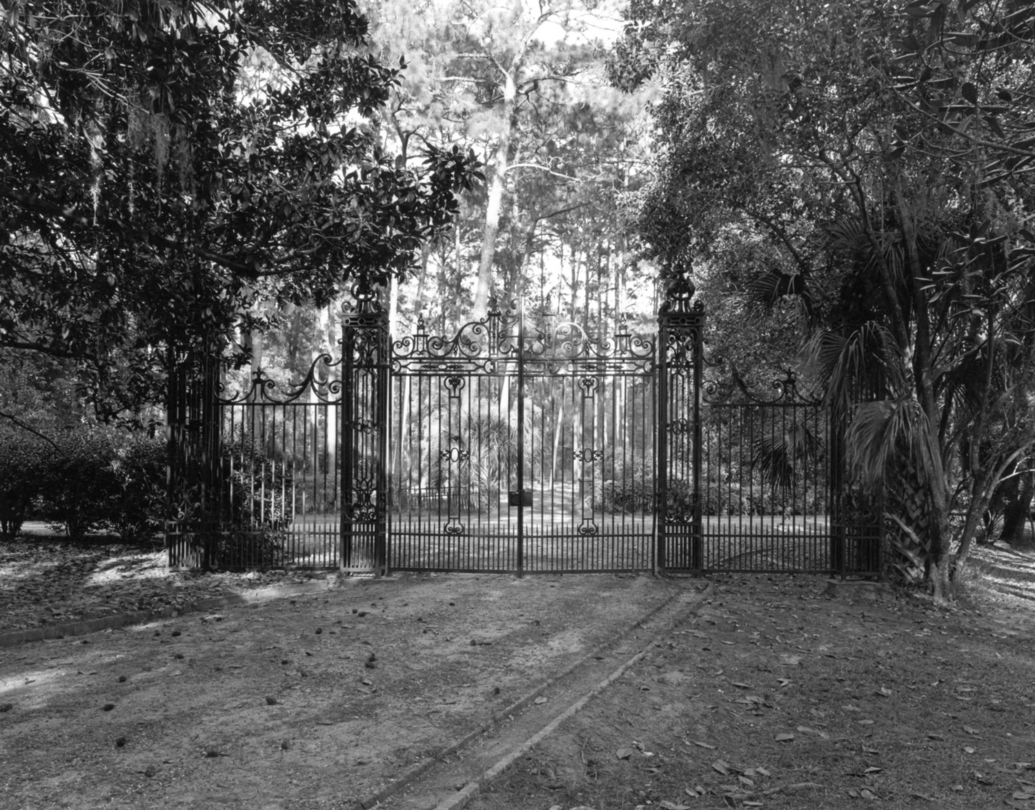 Greenwood Plantation, Thomasville Georgia Entrance drive and gates, northeast of main house (1975)