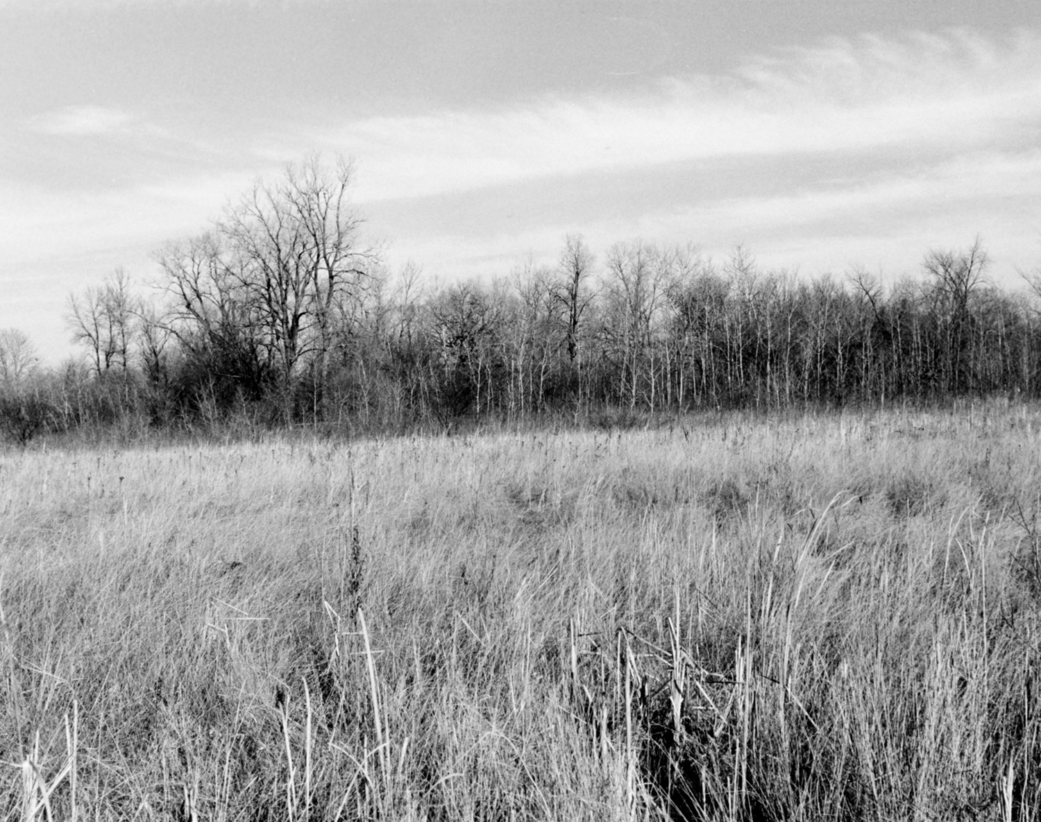 Ragdale Estate, Lake Forest Illinois Prairie west of pasture and main house (1975)