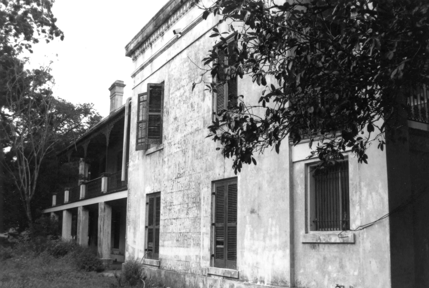 Belle Alliance Plantation, Donaldsonville Louisiana Northwest (South side elevation) (1998)