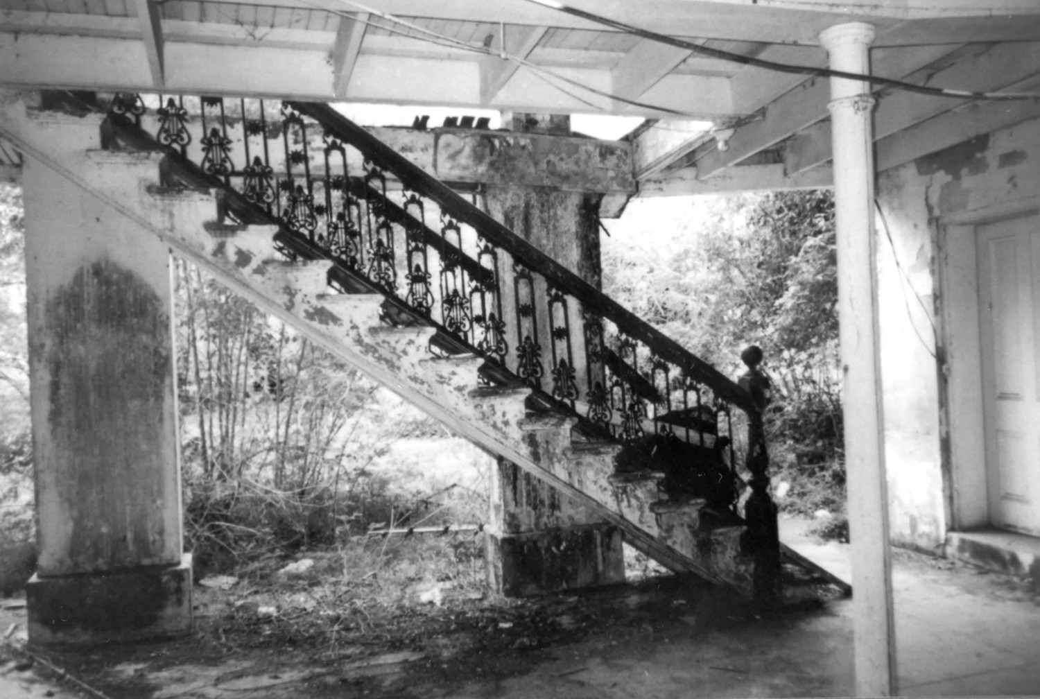 Belle Alliance Plantation, Donaldsonville Louisiana Southeast (rear staircase) (1998)