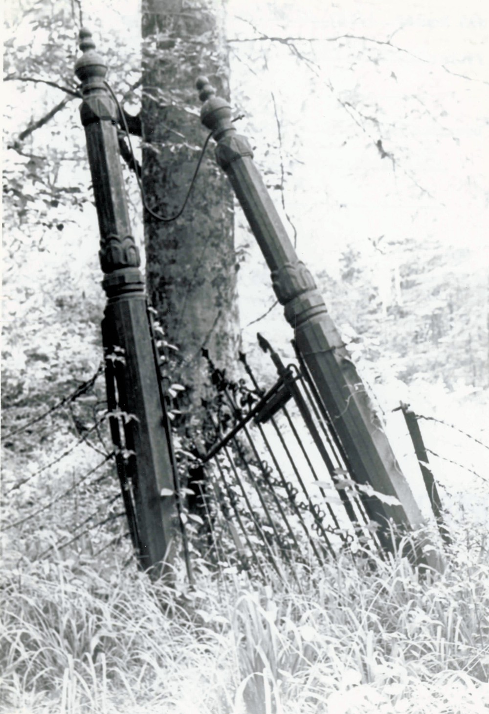 Asphodel Plantation and Cemetery, Jackson Louisiana Gate to cemetery (1972)