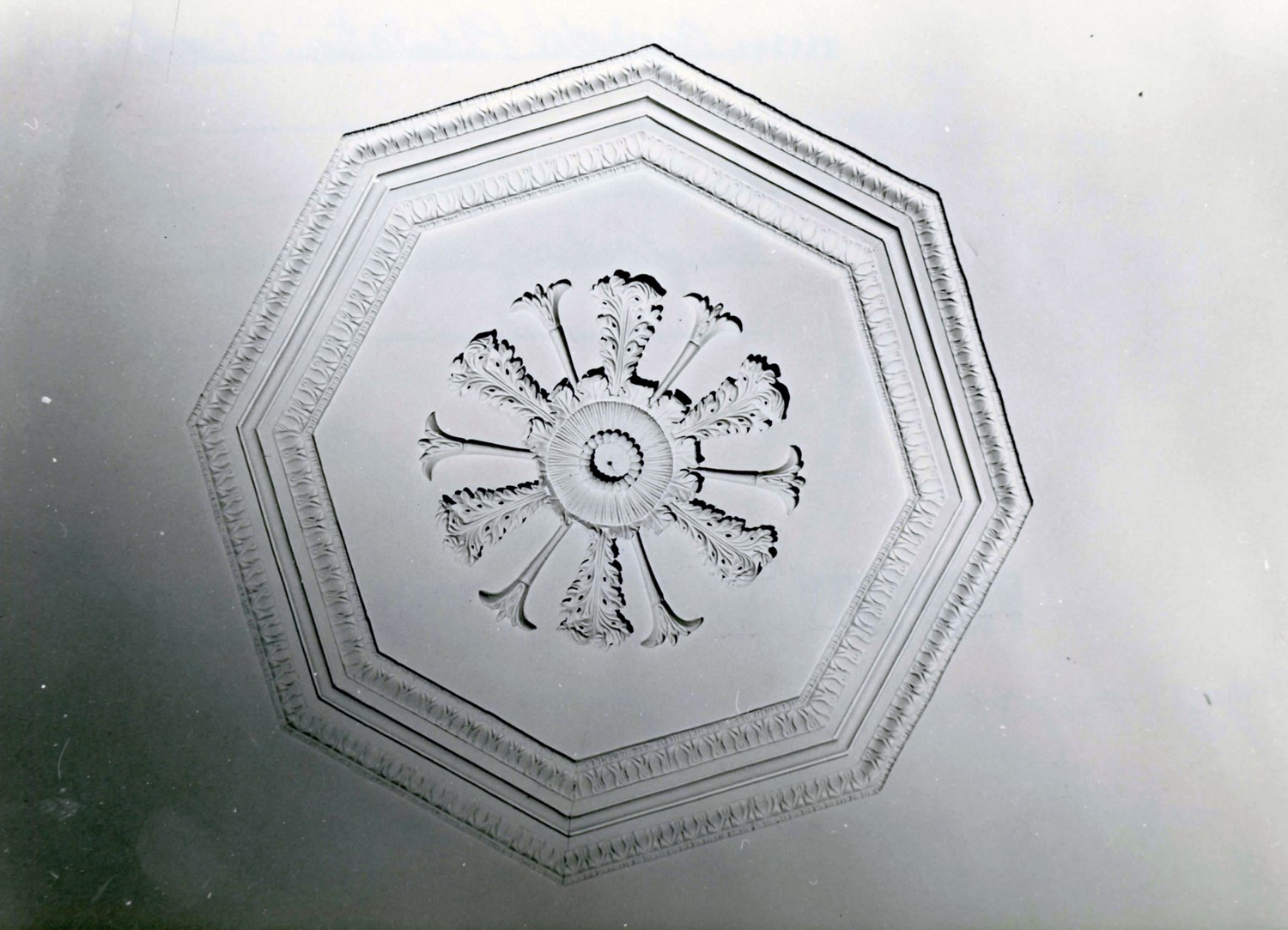 Asphodel Plantation and Cemetery, Jackson Louisiana One of the ceiling medallions - Identical in both north and south parlors (1972)