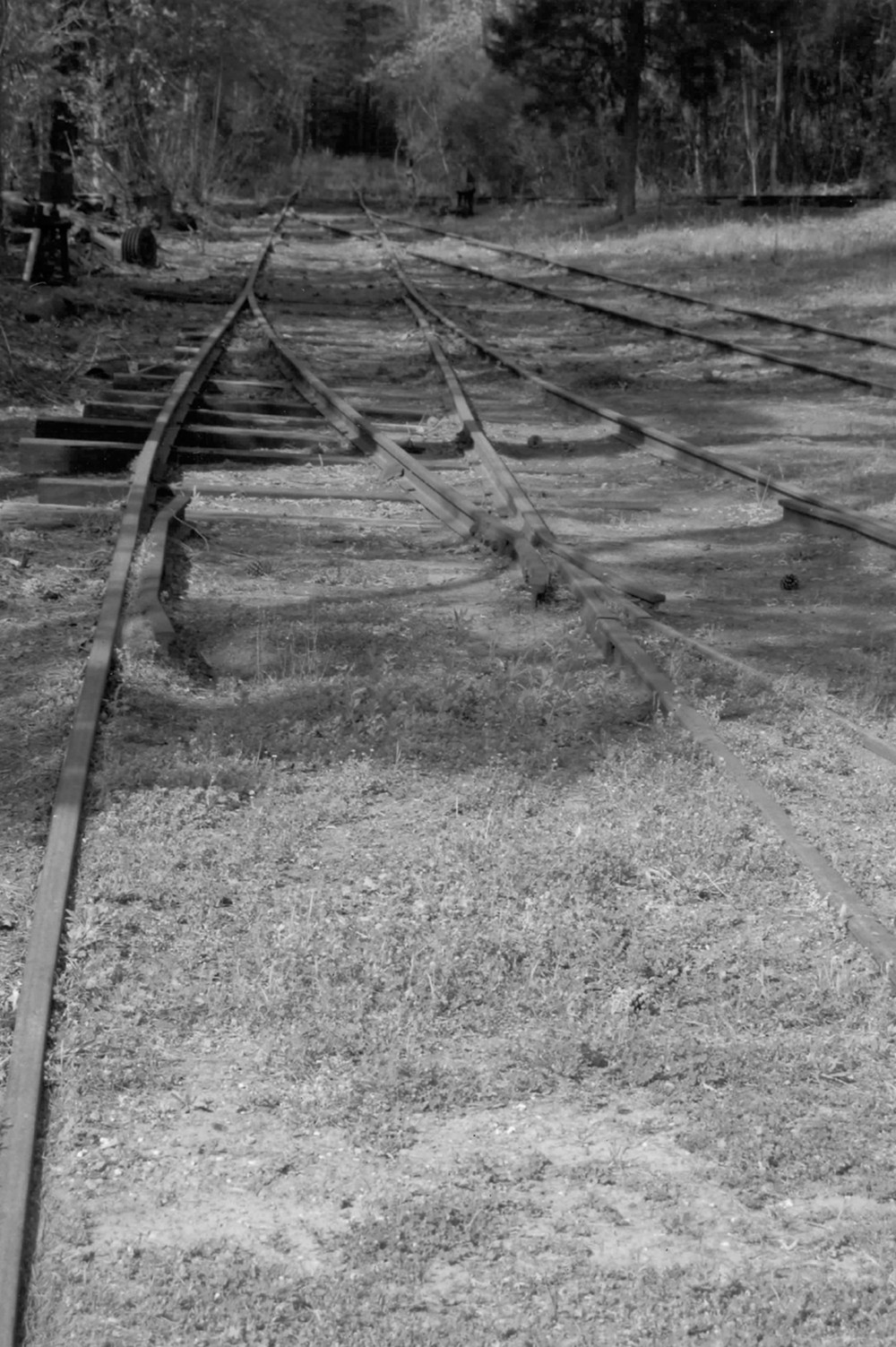 Crowell Sawmill Complex, Longleaf Louisiana Railroad tracks (2007)