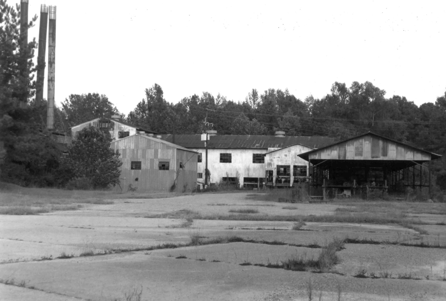 Crowell Sawmill Complex, Longleaf Louisiana Sawmill (1992)