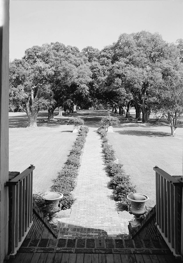 Oaklawn Plantation Mansion, Natchez Louisiana View from porch of allee, looking from the northwest