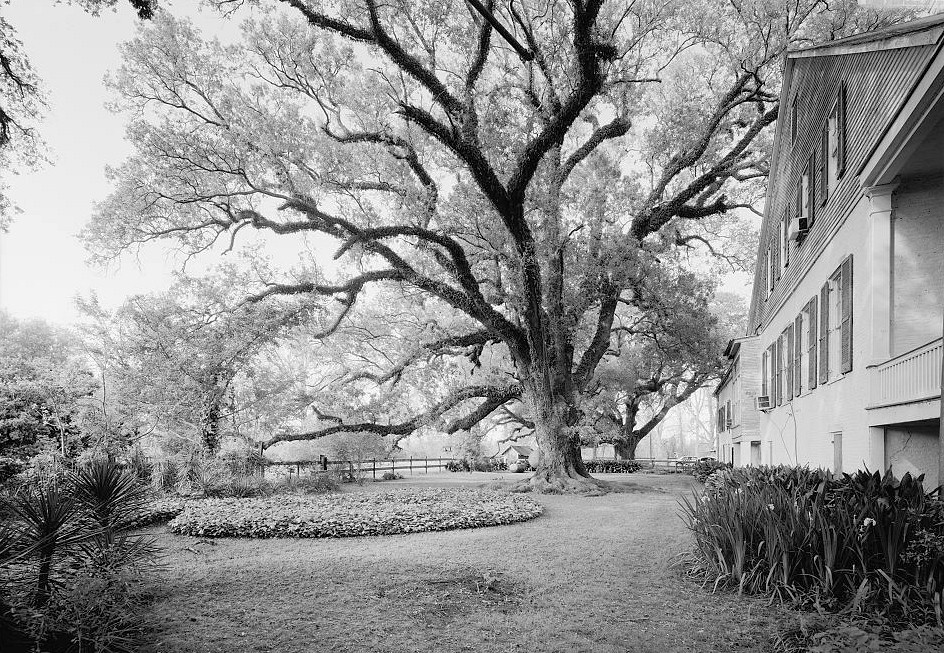Magnolia Plantation, Natchitoches Louisiana 
