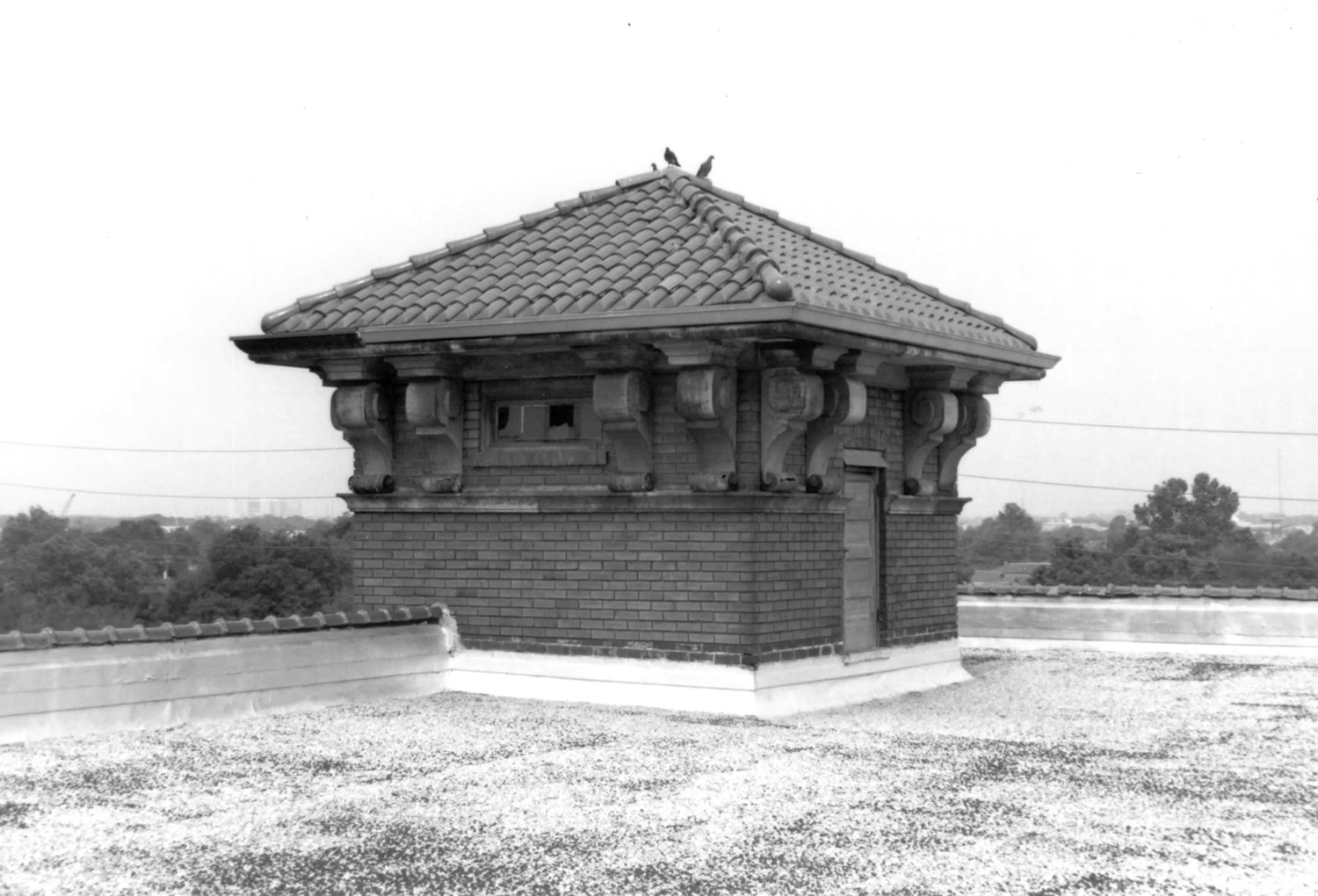 American Chicle Company Building, New Orleans Louisiana Tower as seen from roof (1998)