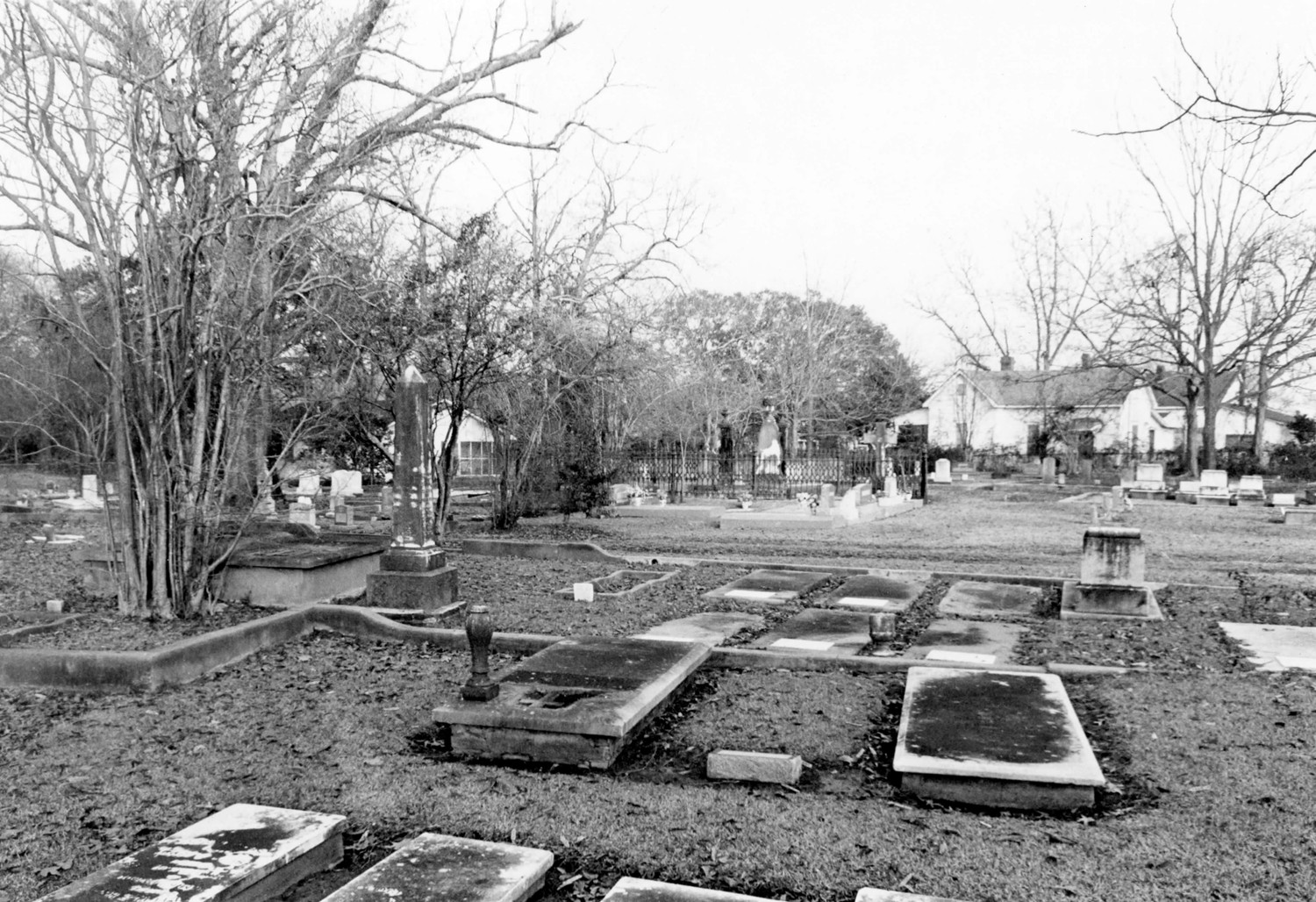 Rapides Cemetery, Pineville Louisiana General view (1979)