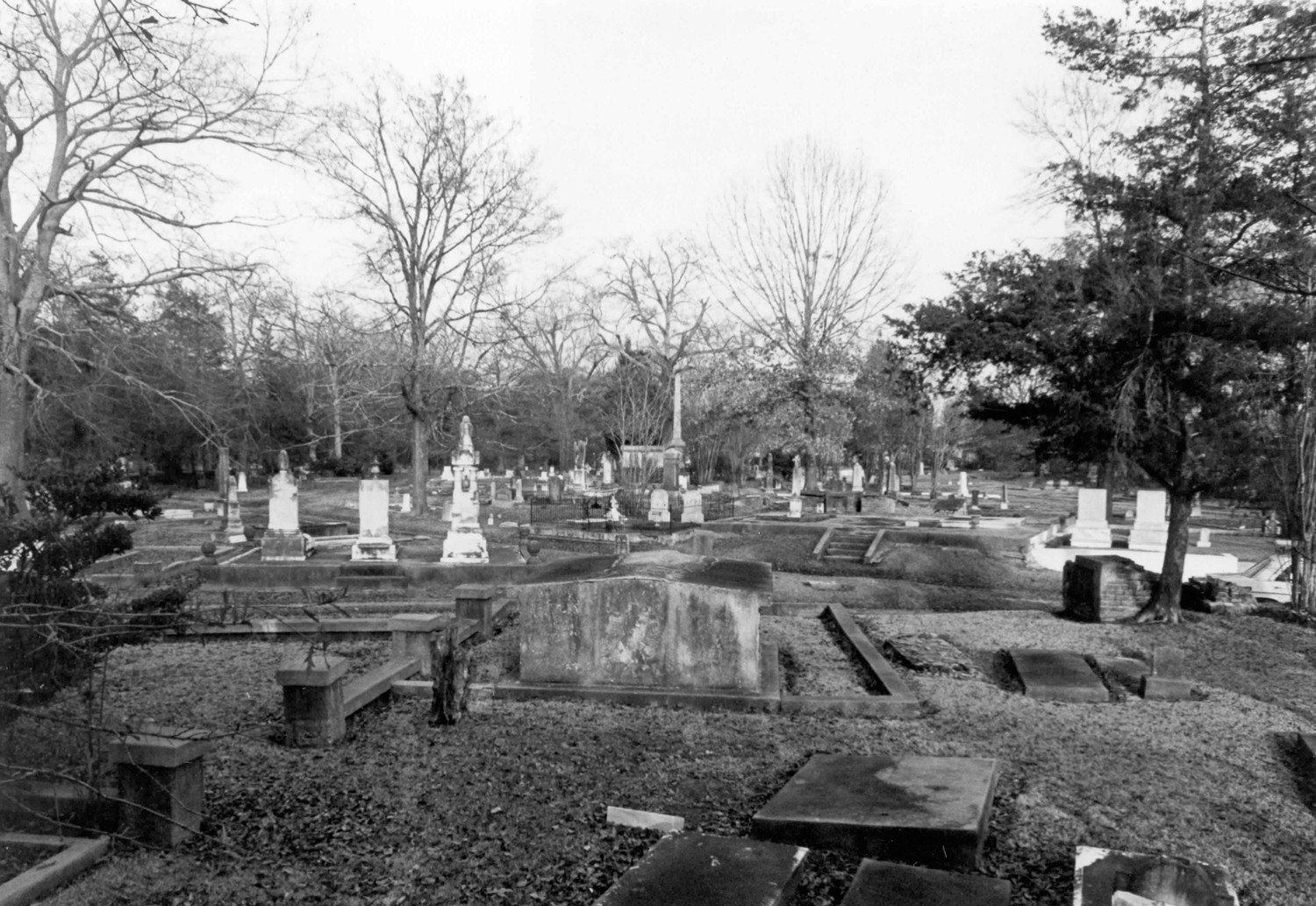 Rapides Cemetery, Pineville Louisiana General view (1979)