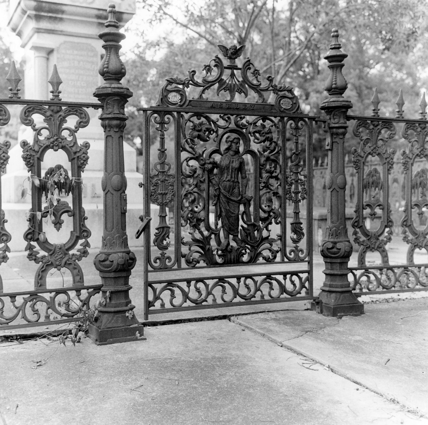 Rapides Cemetery, Pineville Louisiana Wrought Iron fence around Ashley Plot 1975 (1979)
