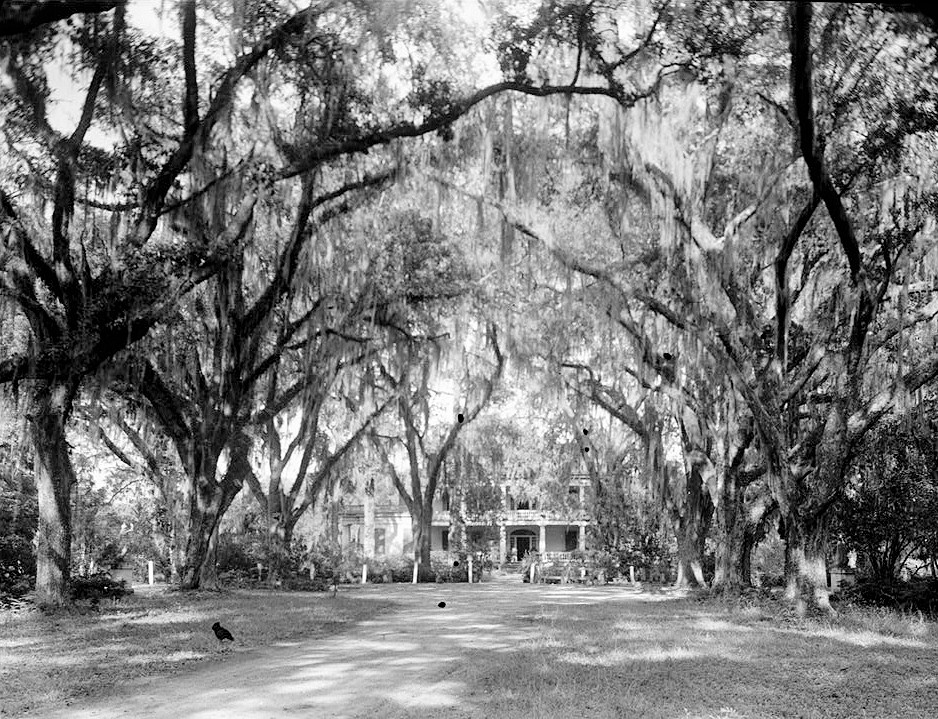 Rosedown Plantation, St Francisville Louisiana 1934 FRONT (SOUTHWEST ELEVATION) LOOKING THROUGH OAK AVENUE