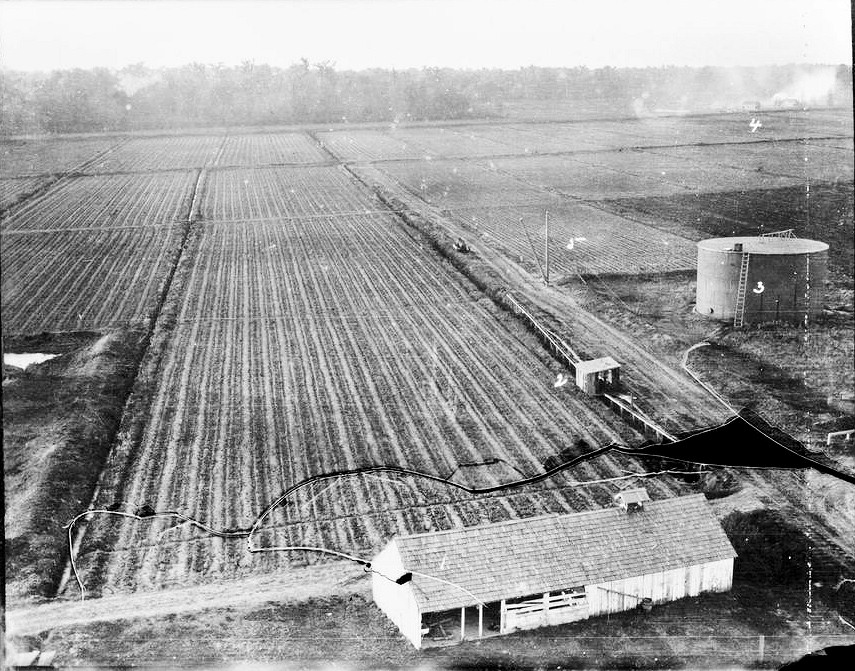 Laurel Valley Sugar Plantation, Thibodaux Louisiana Taken from top of water tower of fields west of mill complex. These were known as the wop fields because they were tended by Italian workers; corn grinding shed is the building in lower right of photograph and fuel oil storage tank is to the right 1906