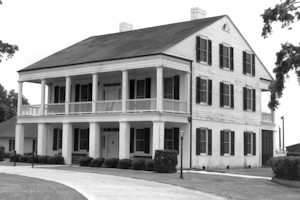 Mulberry Grove, White Castle Louisiana