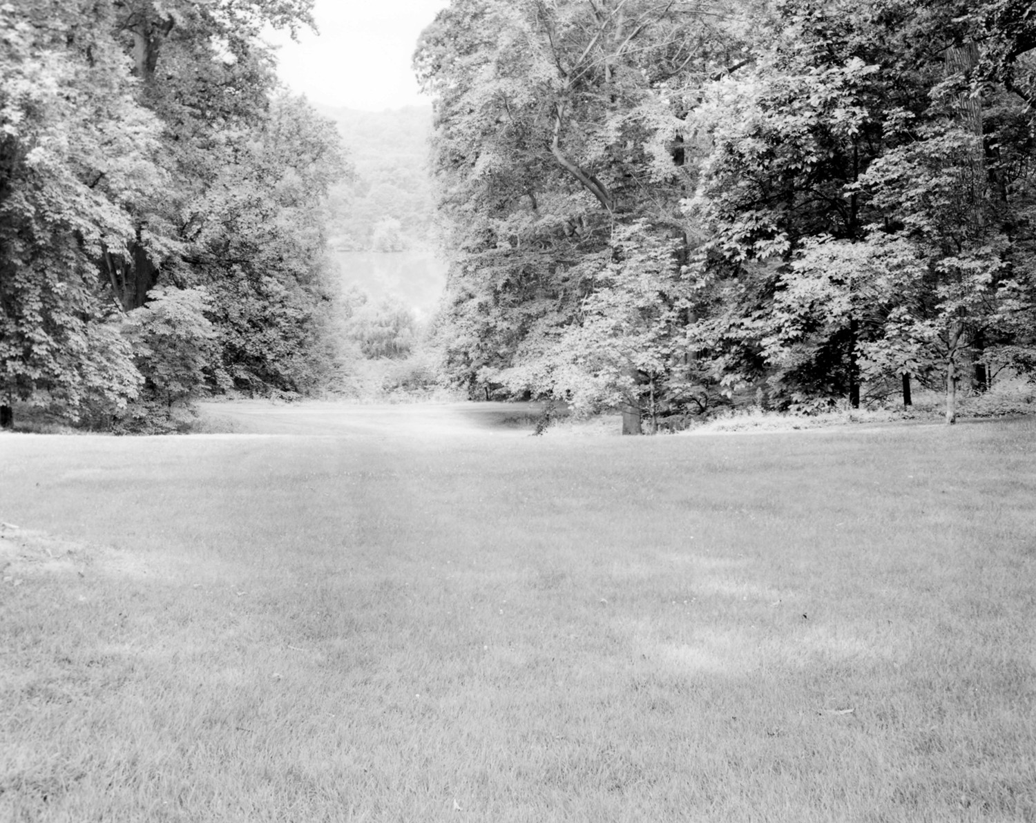 Tyrconnell House and Gardens, Baltimore Maryland Vista looking west to Lake Roland (1984)