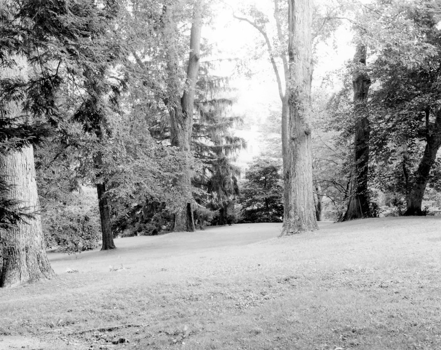 Tyrconnell House and Gardens, Baltimore Maryland View to southwest corner of house from west lawn (1984)