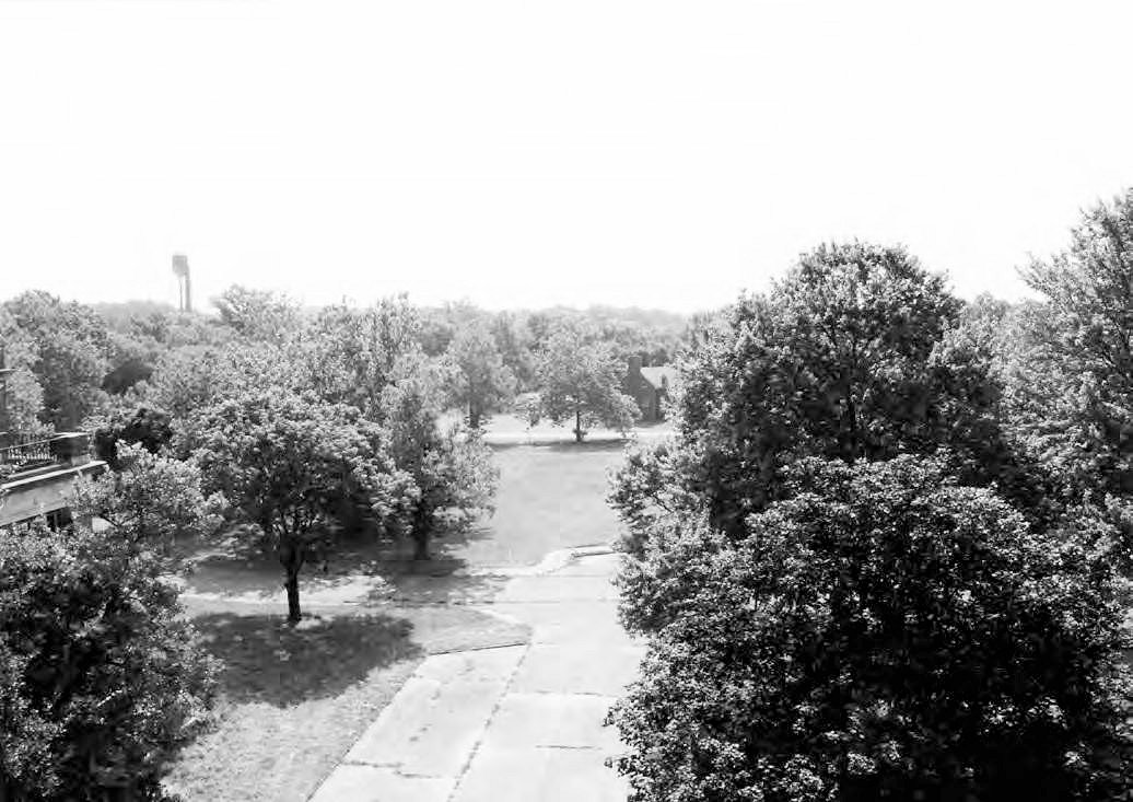 Glenn Dale Tuberculosis Hospital and Sanatorium, Glenn Dale Maryland Adult Hospital, view looking northeast from fifth floor (2009)