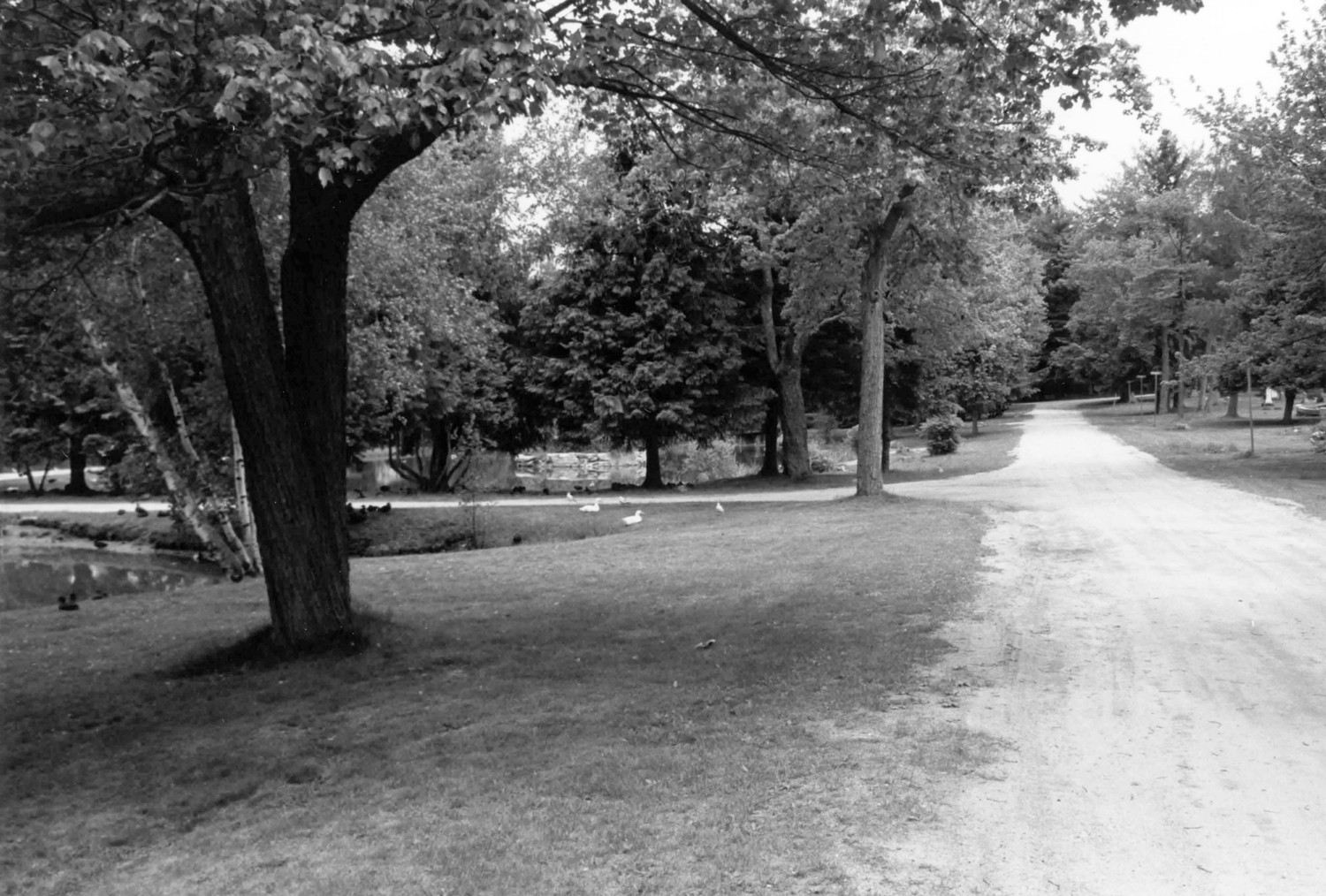 Evergreen Cemetery, Portland Maine View northeast along Shore Avenue, ponds to the left (1992)