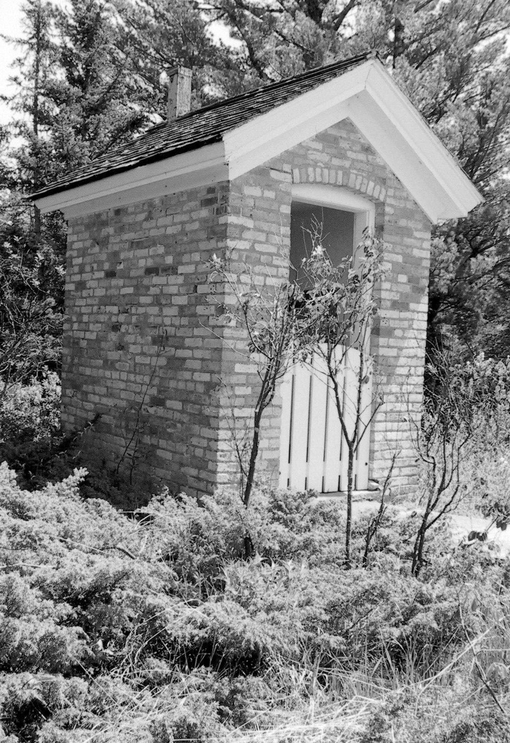 Copper Harbor Light Station, Copper Harbor Michigan 1866 privy, front view, north elevation (left) & west elevation (right) has the door (2009)