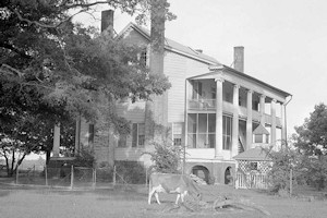 Cove Grove Plantation, Hertford North Carolina
