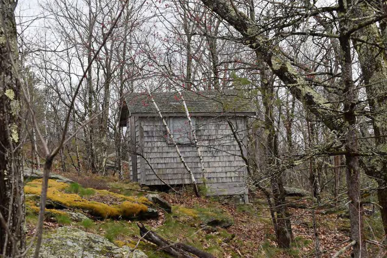 Blue Job Fire Tower, Farmington New Hampshire Storage shed, looking northeast from trail (2022)