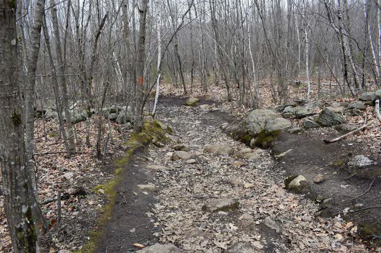 Blue Job Fire Tower, Farmington New Hampshire Trail leading from parking lot/trailhead to fire tower (2022)