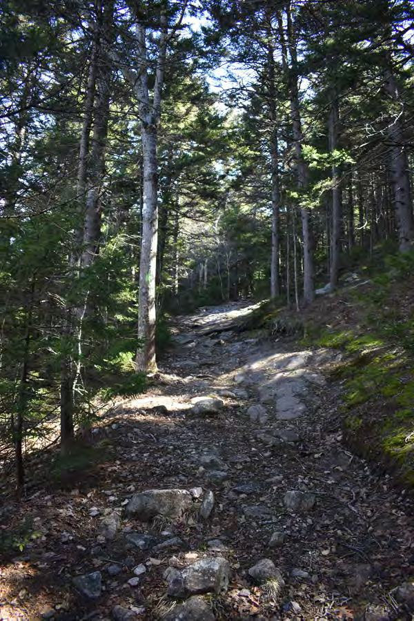 Belknap Mountain Fire Tower, Gilford New Hampshire Warden's Trail, looking east (2022)