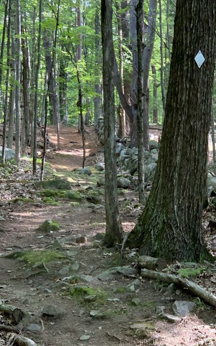 St. John's on the Lake Chapel Bear Island, Meredith New Hampshire Middle Woodland Trail from Chapel Docks (2019)