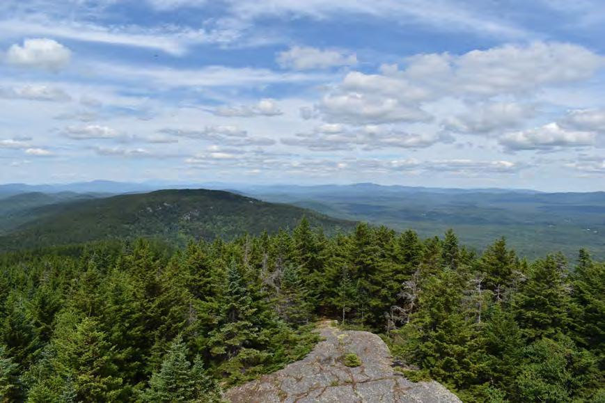 Croydon Peak Fire Tower, Newport New Hampshire View northeast from Croydon Peak Fire Tower (2022)