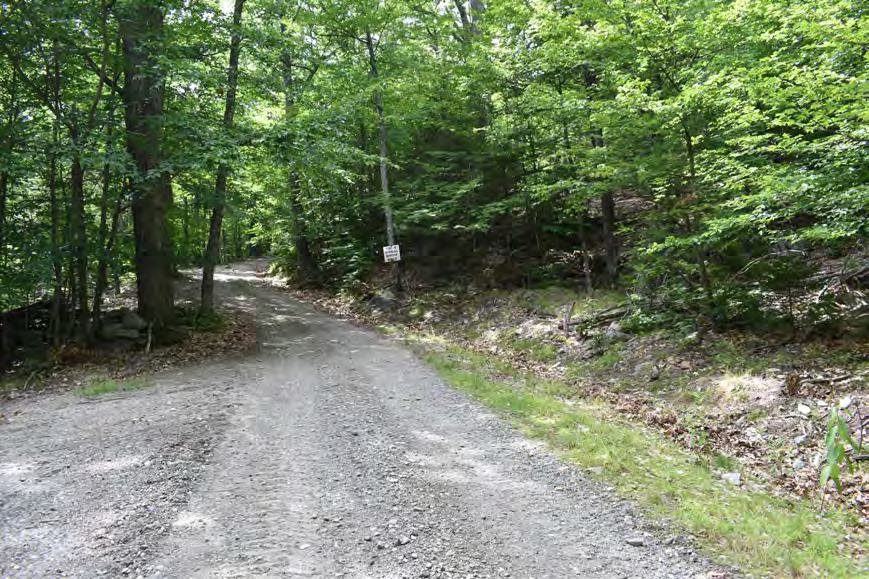 Croydon Peak Fire Tower, Newport New Hampshire Access Road to fire tower, looking north near Garage/Bunkhouse (2022)