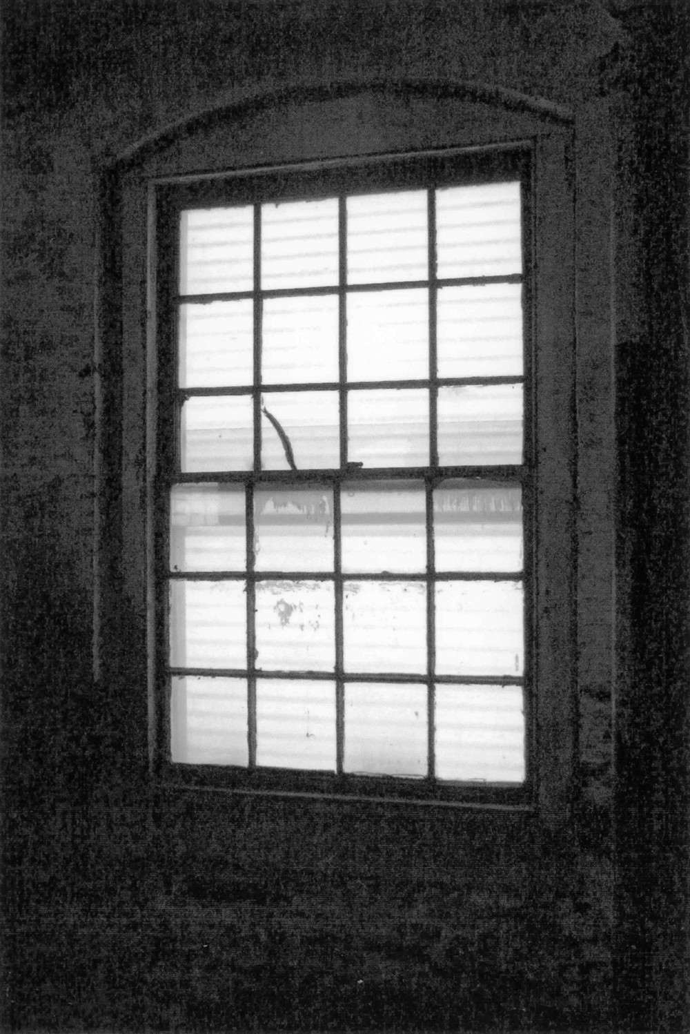 American Cigar Company, Trenton New Jersey 3rd floor, Window detail, view northeast (2010)