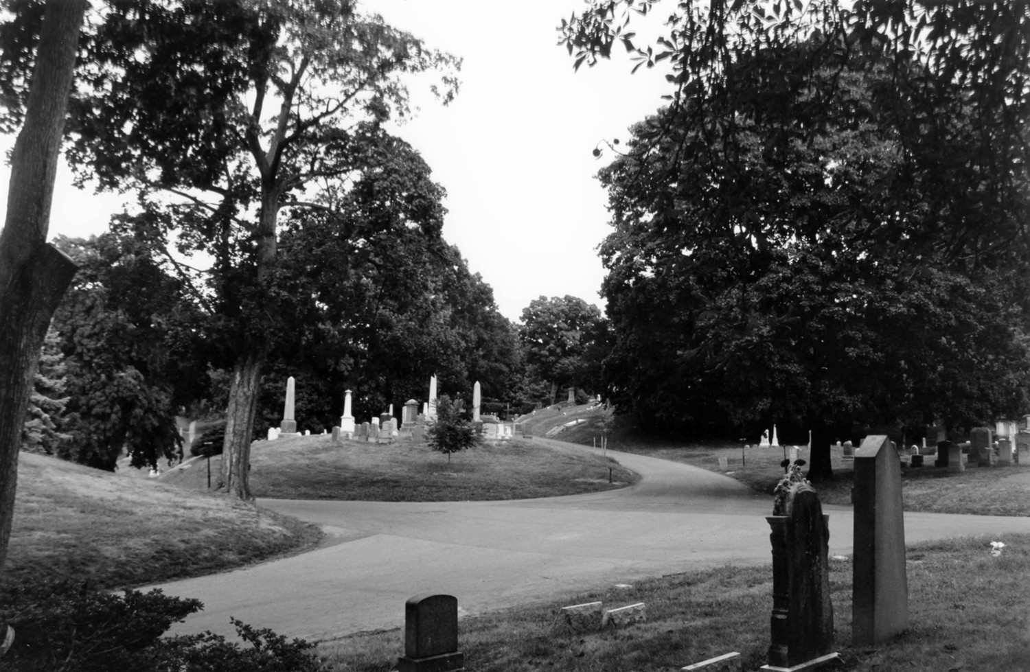 Green-Wood Cemetery-Greenwood, Brooklyn New York Picturesque landscape and curvilinear roads near Lake Avenue and Oak Avenue above Sylvan Water (2005)