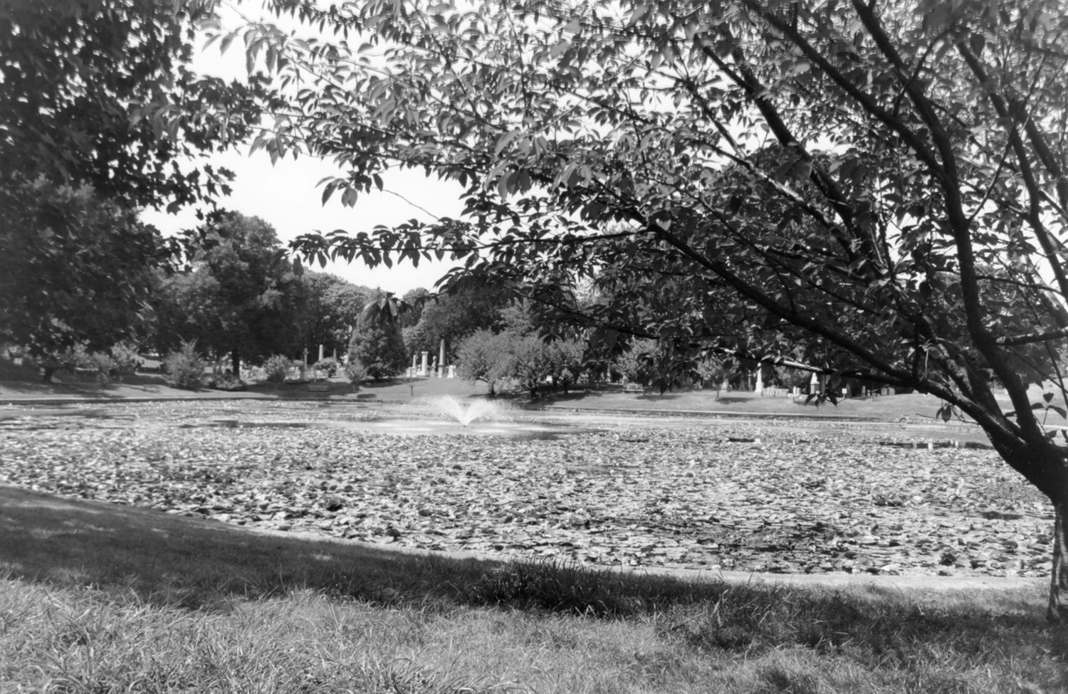 Green-Wood Cemetery-Greenwood, Brooklyn New York Valley Water taken near the intersection of Landscape Avenue and Valley Avenue, with fountain, surrounding vegetation, and vista of monuments beyond (2005)