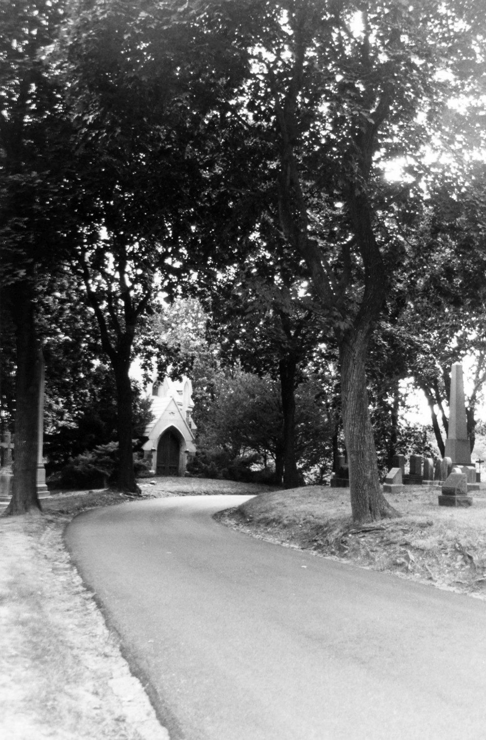 Green-Wood Cemetery-Greenwood, Brooklyn New York View along curving alignment of Atlantic Avenue, with Stephen Whitney chapel mausoleum visible through the mature trees (2005)
