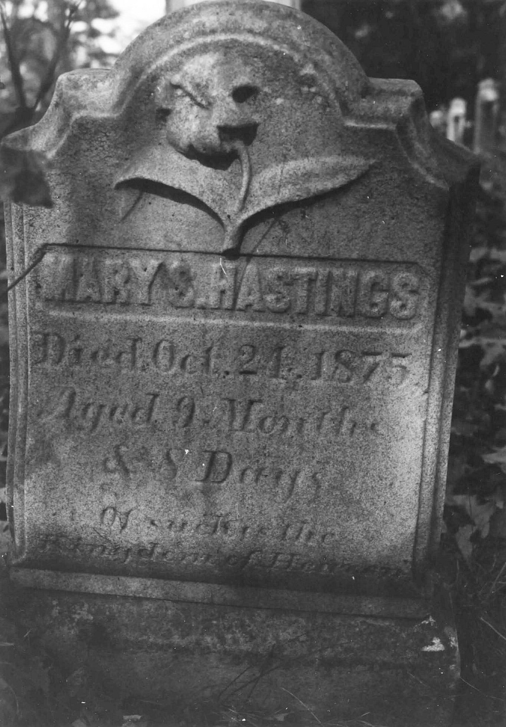 Albany Rural Cemetery, Menands New York Mary S. Hastings, (Southwick lot), section 39 (1977)