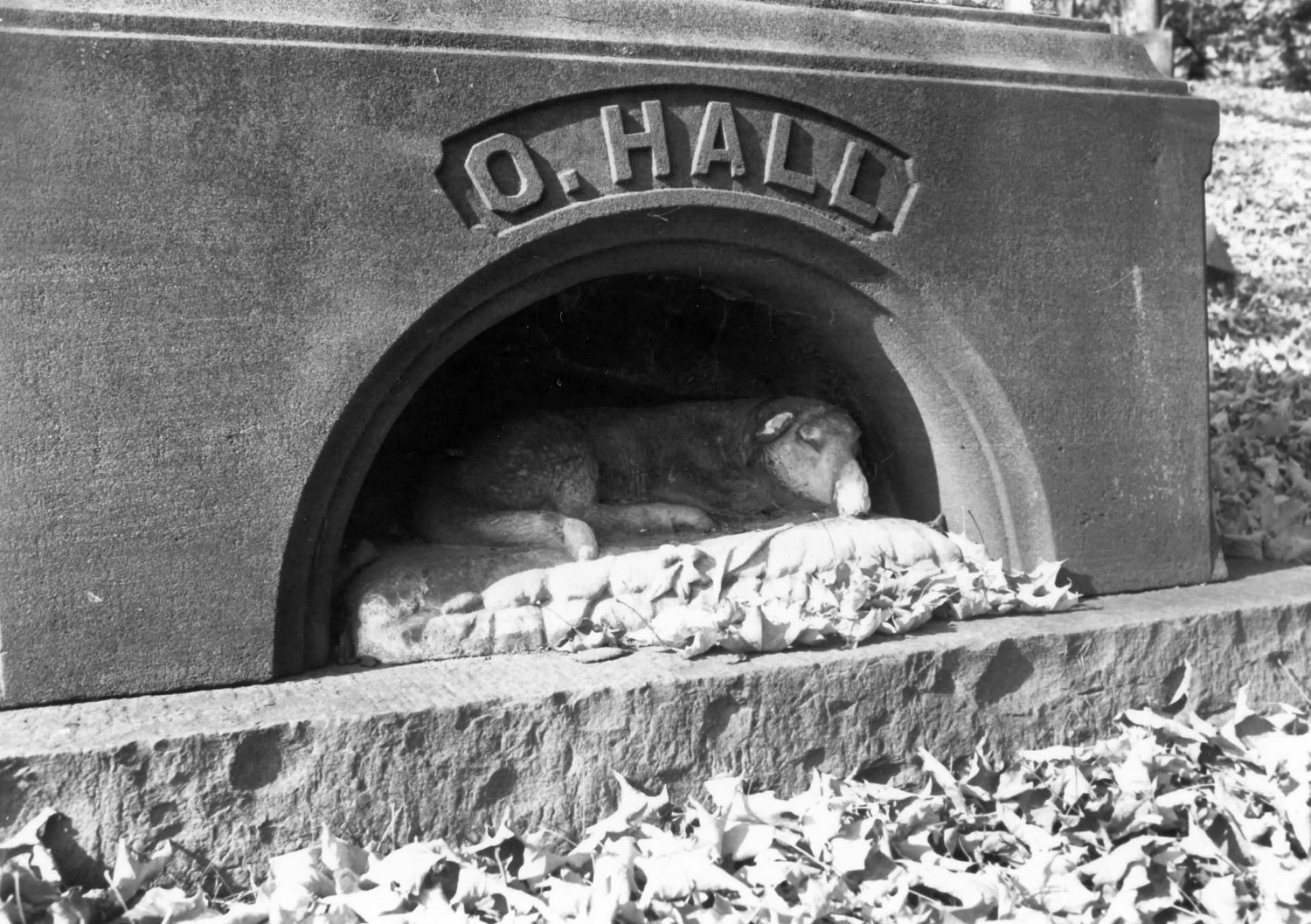 Albany Rural Cemetery, Menands New York O. Hall: section 62, detail of lamb at base (1977)