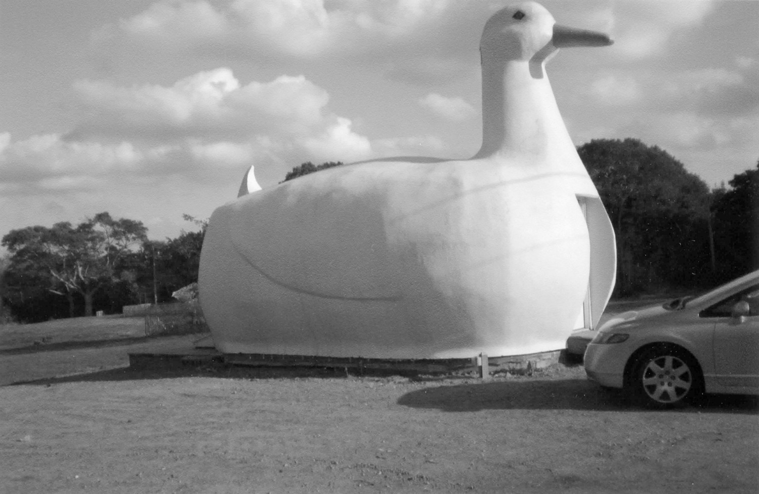 The Big Duck, Southampton New York Big Duck, viewed looking southeast from Flanders Rd (2007)